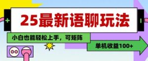 25年最新语聊玩法，纯手工，单机收益100+，小白也能轻松上手，可矩阵操作-川川创富网