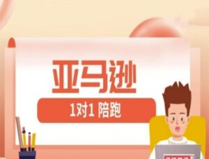 亚马逊1对1陪跑课(FBA/FBM精铺)跨境亚马逊教程-川川创富网