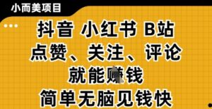 小而美的项目,抖音小红书B站视频点赞、关注、评论就能挣钱,简单无脑立见收益,妥妥的零撸项目【揭秘】-川川创富网