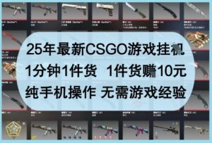 25年最新CSGO游戏挂G，1分钟1件货，1件货挣10元，纯手机操作，无需游戏经验【揭秘】-川川创富网