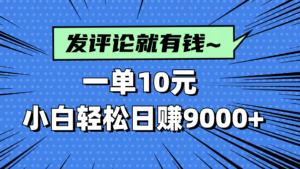 评论就有收益,一单10元,小白也能轻松日赚9000+-川川创富网