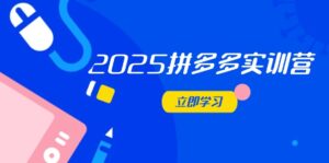 2025拼多多实训营：深度剖析运营关键，助力电商人快速提升-川川创富网