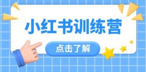 小红书训练营,助小白入门,掌握技巧变达人,课程实操又全面(12节课)-川川创富网