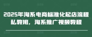 2025年淘系电商标准化起店流程私教班，淘系推广视频教程-川川创富网