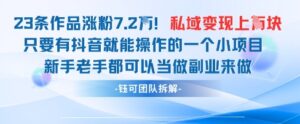 抖音私域项目23条作品涨粉7.2W，私域变现1W-川川创富网