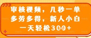 视频审核员，几秒一单，不限时间，不限地点，多做多得，新人小白一天轻松几张+【揭秘】-川川创富网