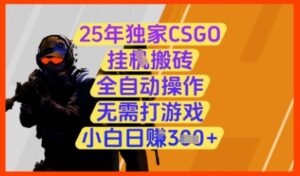 25年独家CSGO挂G搬砖，全自动操作，无需打游戏，小白日入3张+【揭秘】-川川创富网