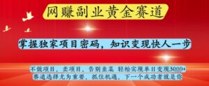 网创副业黄全赛道，掌握独家项目密码，知识变现快人一步，告别韭菜轻松实现单日变现1k+【揭秘】-川川创富网