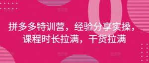 拼多多特训营,经验分享实操,课程时长拉满,干货拉满(更新25年4月)-川川创富网