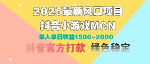 2025最新风口项目 抖音小游戏MCN 单人单日收益1500-2000+-川川创富网