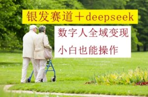 银发赛道+deepseek数字人全域变现，小白也能操作-川川创富网