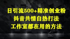 日引流500+精准创业粉，抖音共情自热打法，工作室都在用的方法-川川创富网