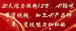 20天爆力涨粉1.2W，AI猫咪带货视频，加上AI产品种草，变现能力杠杠的-川川创富网
