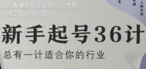 新手起号36计2.0,四年行业沉淀,上百条爆款视频经验一次性帮你搞定短视频问题-川川创富网