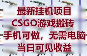 最新挂G项目，CSGO游戏搬砖，手机可做，无需电脑，当日见收益【揭秘】-川川创富网