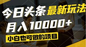今日头条最新风口,视频掘金,小白也可月入过万,可以矩阵操作-川川创富网