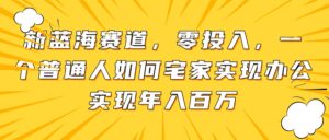 新蓝海赛道,零投入,一个普通人如何宅家办公实现年入百万-川川创富网