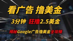 看广告,撸美金!!3分钟赚2.5美金!!日入200美金不是梦!揭秘Google…-川川创富网