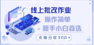 线上批改作业,操作简单新手小白首选,无脑日收300+【揭秘】-川川创富网