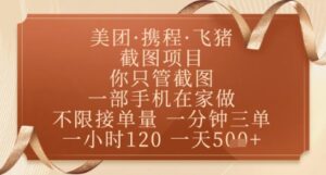 飞猪美团截图项目,你只管截图,一部手机在家做,正规平台无套路,一天5张+【揭秘】-川川创富网