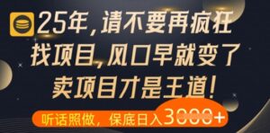 什么?25年你还在疯狂找项目做,醒醒吧,看完这些你全都懂了【揭秘】-川川创富网