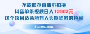 不露脸不直播不拍摄抖音单条视频日入1k+这个项目适合所有人长期积累的项目-川川创富网
