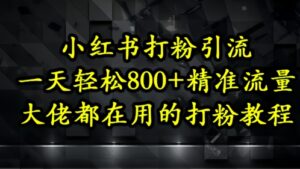 小红书打粉引流,一天轻松500+精准流量,大佬都在用的打粉教程-川川创富网