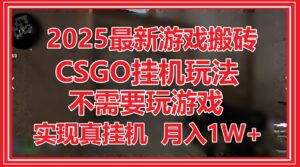 2025最新游戏搬砖,CSGO挂机,不需要玩游戏,实现真挂机,月入1W+-川川创富网