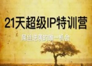 21天超级IP特训营,屌丝逆袭的唯一机会-川川创富网