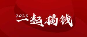 2025年,请“不择手段”去搞钱!-川川创富网