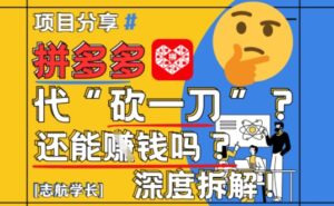 【2025最新】拼多多代坎助力项目深度拆解：还能挣钱吗?全流程玩法-川川创富网