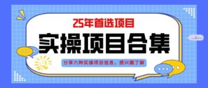 （14767期）2025年实操六大项目实操演练，挂机类型，AI直播类型，轻资产创业类型，…-川川创富网