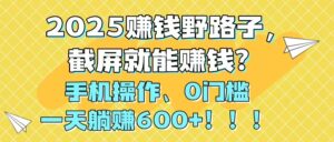 2025赚钱野路子，截屏就能赚钱？手机操作0门槛，一天躺赚600+！！！-川川创富网