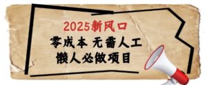 2025新风口，懒人必做项目，浏览器全自动掘金【揭秘】-川川创富网