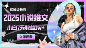 2025小说推文最新玩法，推文保姆级教程，小白7天收益1w+-川川创富网