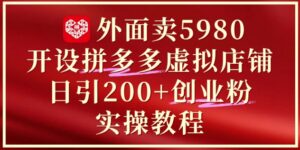 外面卖5980开设拼多多虚拟店铺:单日引流200+创业付费粉实战教程-川川创富网