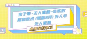 宝子哥·无人直播-非实时防风技术(更新25年5月)无人半无人直播-川川创富网