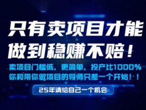 只有卖项目才能做到稳挣不赔,门槛低,更简单,你也可以年入百个W【揭秘】-川川创富网