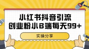 小红书抖音创业粉，小B端粉自热，日引99+的一个玩法【揭秘】-川川创富网