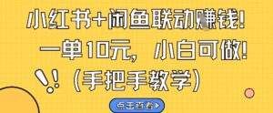 小红书+闲鱼联动挣钱，一单10元，小白可做-川川创富网