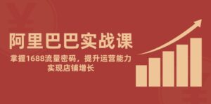 阿里巴巴实战课:掌握1688流量密码,提升运营能力,实现店铺增长-川川创富网