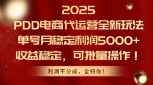 2025PDD电商代运营全新玩法,单号月稳定利润5000+,收益稳定,可批量操作-川川创富网