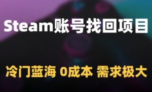 Steam账号找回项目，冷门蓝海，0成本，需求极大-川川创富网