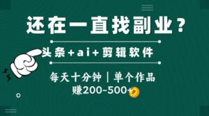 头条全新玩发加持软件搬视频，每天十分钟，单个作品收入200-500左右-川川创富网