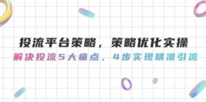 投流平台策略,策略优化实操,解决投流5大痛点,4步实现精准引流-川川创富网