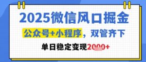 2025微信风口掘金,公众号+小程序双管齐下,单日稳定变现1k+【揭秘】-川川创富网