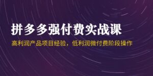 拼多多强付费实战课-44期,高利润产品项目经验,低利润微付费阶段操作-川川创富网