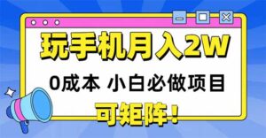 玩玩手机月入20000+,0成本小白必做项目,可矩阵-川川创富网