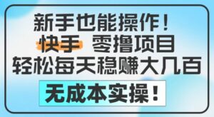 新手也能操作,快手零撸挣米,轻松每天挣2-5张,完全无成本-川川创富网