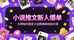 小说推文新人爆单大佬每天稳定三位数爆单经验分享-川川创富网